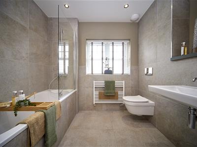Picture 16